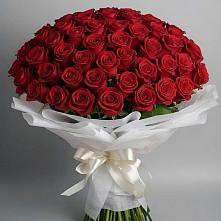 Букет 101 Красная роза Блэк Мэджик в Варна