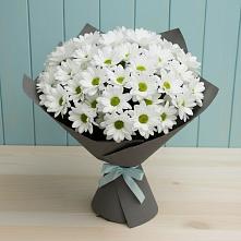 Букет цветов из:  Хризантемы в Варна