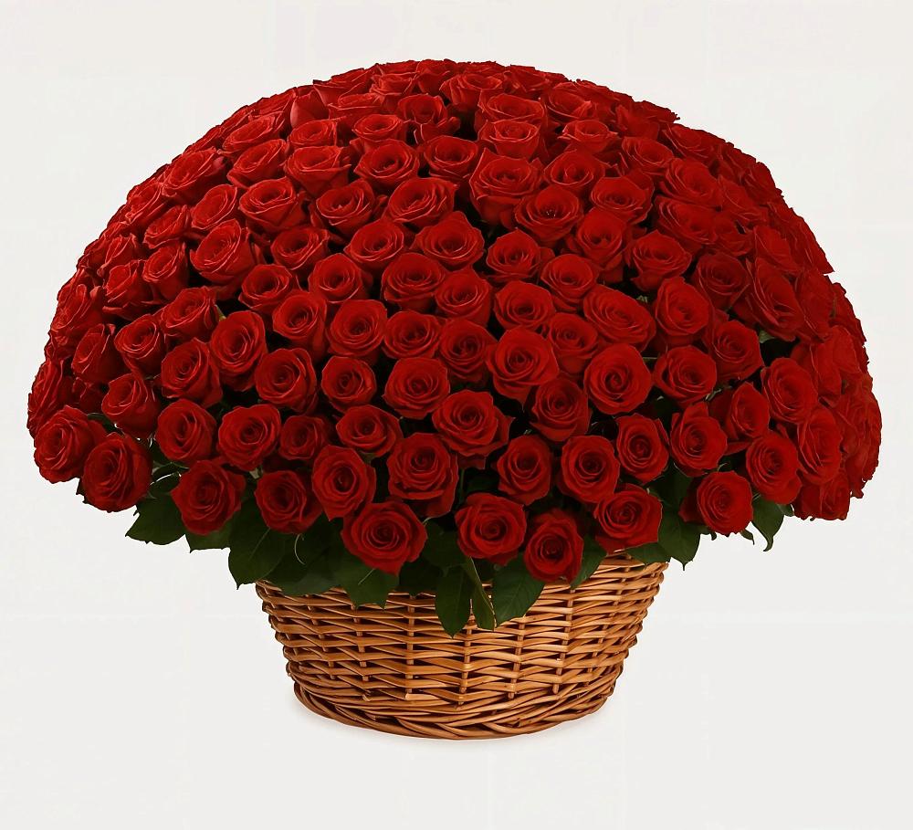 Премиум букет из: Розы в Варна