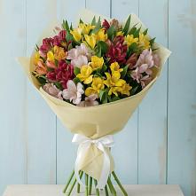 Букет цветов из:  Альстромерии #REPLACE_PRED# Варна