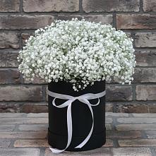 Цветочная композиция из Гипсофила в шляпной коробке #REPLACE_PRED# Варна