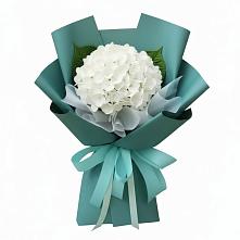 Букет цветов из:  Гортензия #REPLACE_PRED# Варна